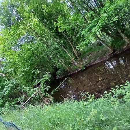Gite De L'Ours Saint-Maurice-sur-Moselle Esterno foto