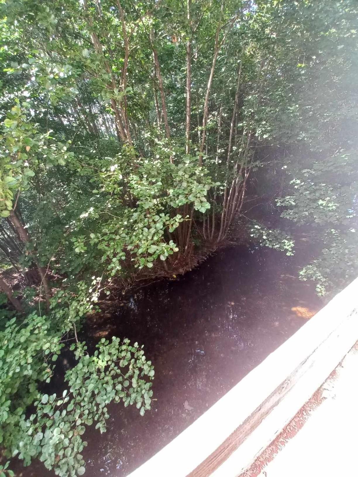 Gite De L'Ours Saint-Maurice-sur-Moselle Esterno foto