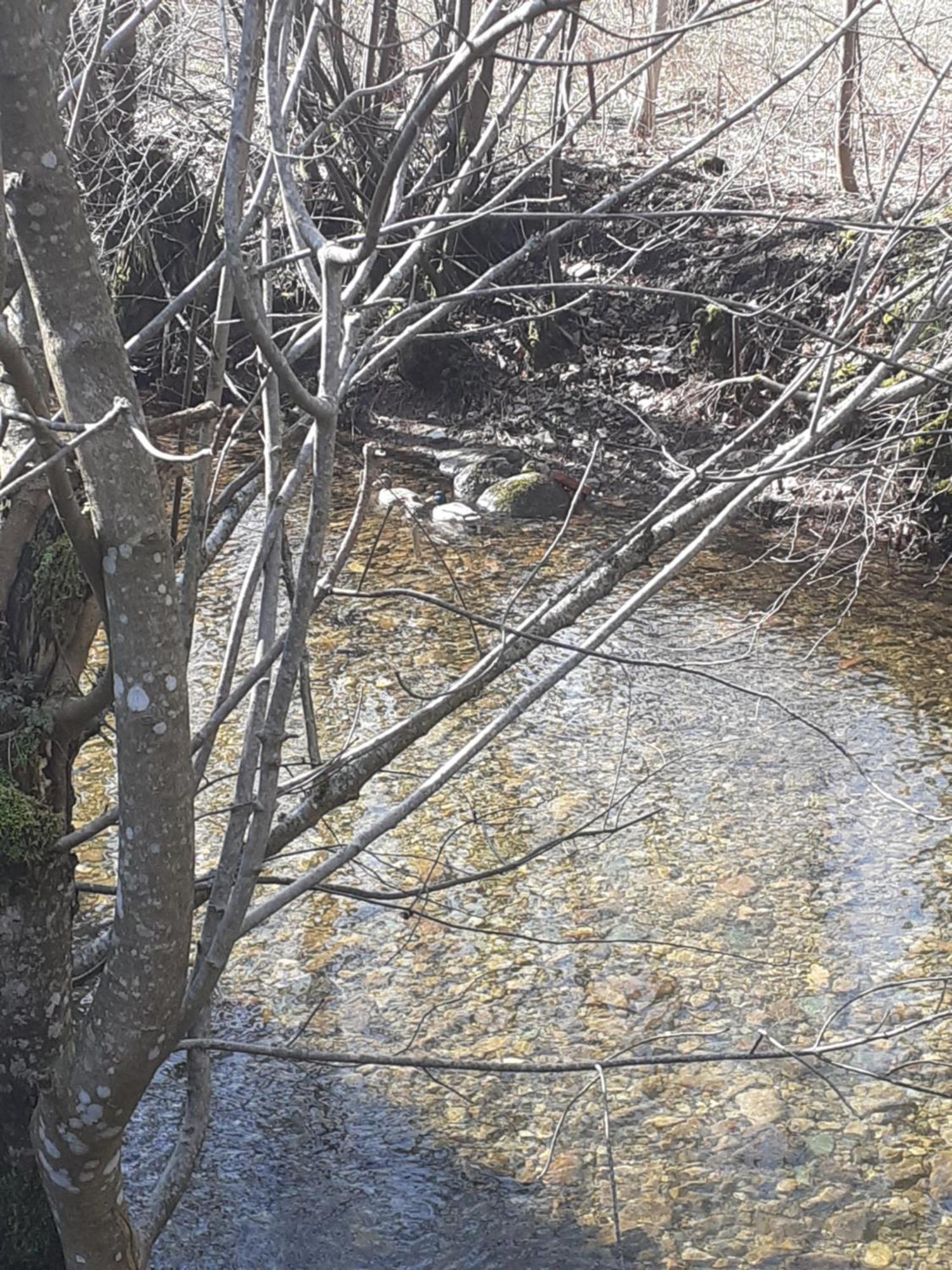 Gite De L'Ours Saint-Maurice-sur-Moselle Esterno foto