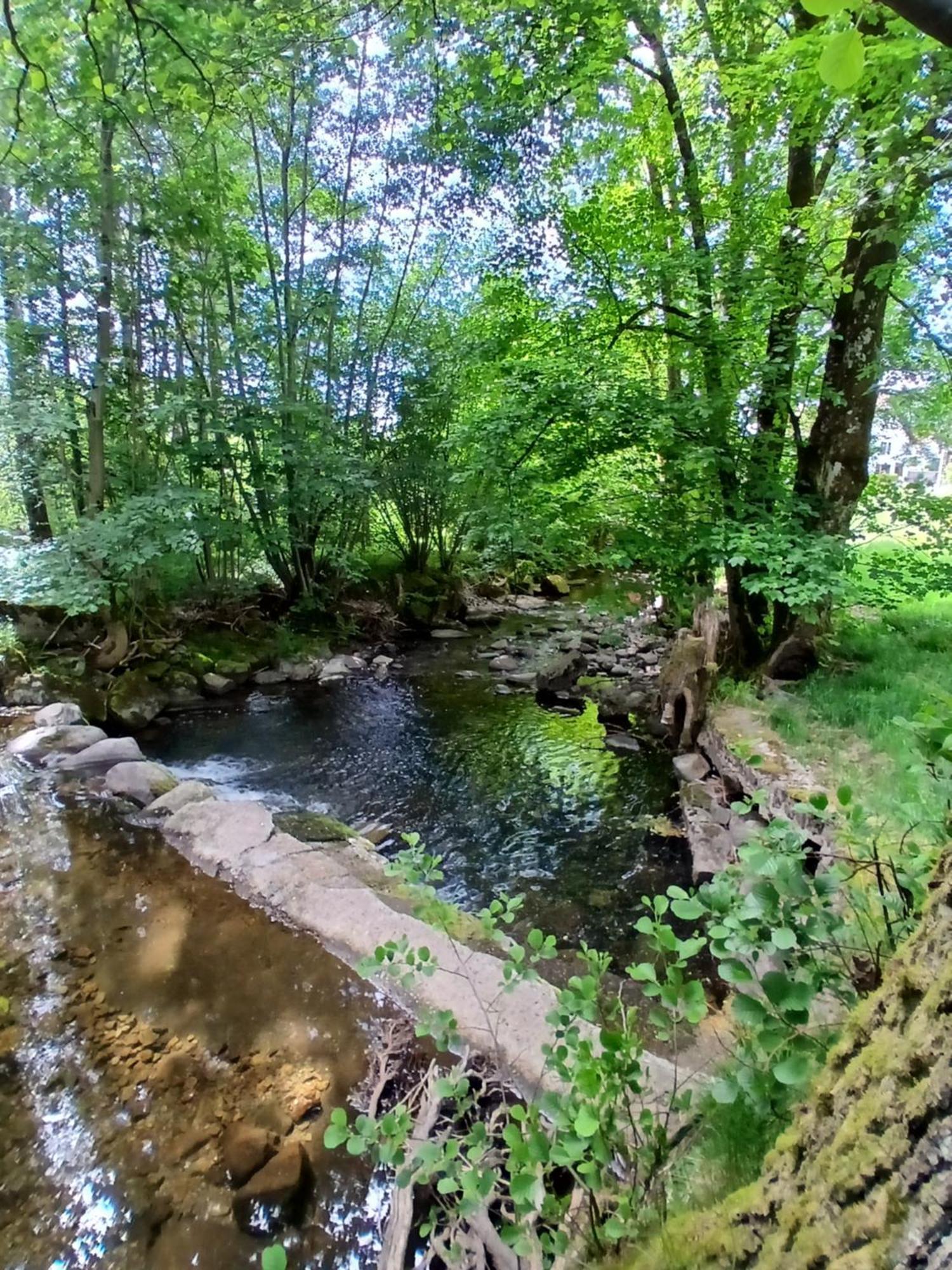 Gite De L'Ours Saint-Maurice-sur-Moselle Esterno foto