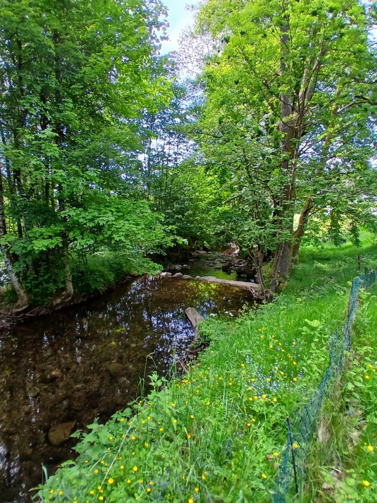 Gite De L'Ours Saint-Maurice-sur-Moselle Esterno foto